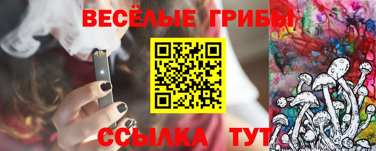 Псилоцибиновые грибы мухоморы Михайловск